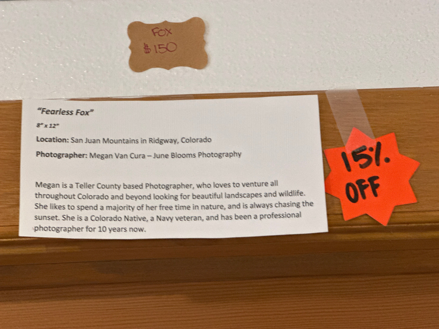 Fox Metal Photography