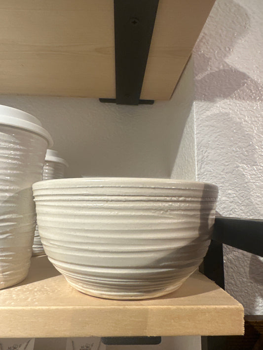 Dish