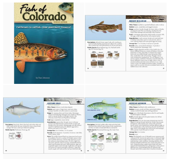Fish of Colorado